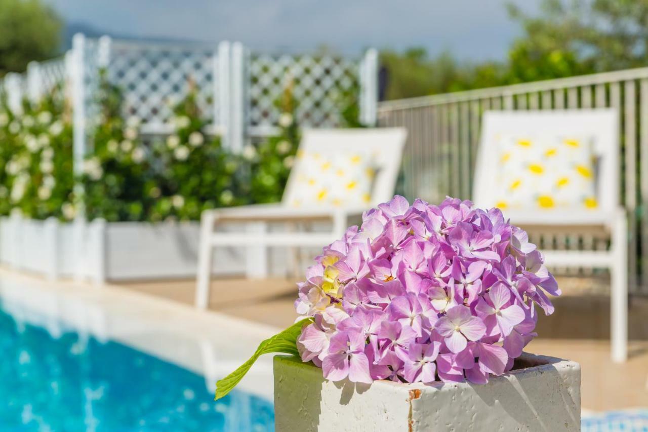 Villa Sorrento Flats Εξωτερικό φωτογραφία